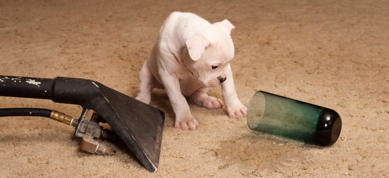 York carpet and property cleaning
